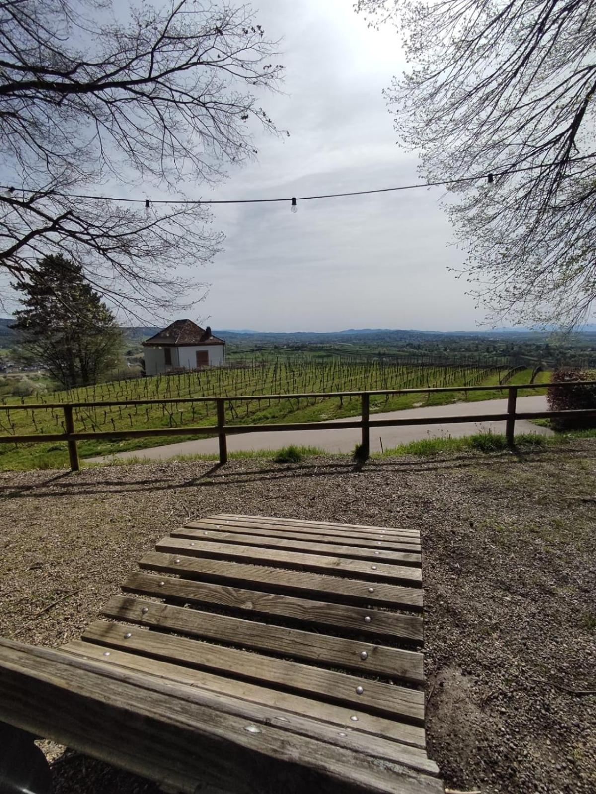 Appartement Sulzbachtal In Lahr, Naehe Europapark, Naehe Rulantica Lahr  Exterior foto